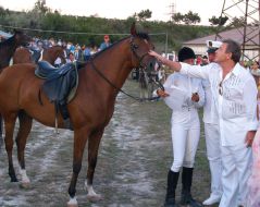 Ralif Safin and Lev Leshchenko