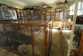 Museum of oceanology Institute