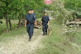 Патруль внутрішніх військ