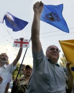 The rally of solidarity with the people of Georgia in Kiev