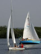 Regatta