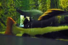Sevastopol aquarium-museum