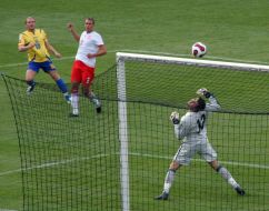 Andrey Voronin and Lukasz Fabianski