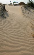 Expedition members of pedestrian motion to Oleshkovskiye sands