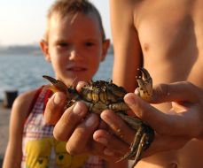 A boy gets a crab on the hips