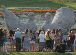 Flower exhibition to the Independence Day