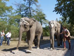 Одеса. День міста