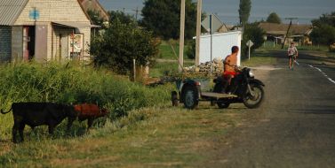 Countrymen of Zmievka village