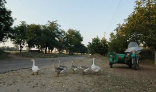 Countrymen of Zmievka village