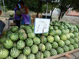 Sale of water-melons in Kherson