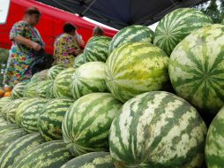 Sale of water-melons in Kherson