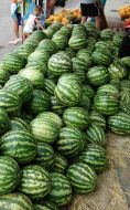 Sale of water-melons in Kherson
