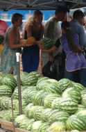 Buyers are choosing water-melons and melons