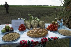 Овощи, фрукты и каравай