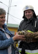 Пожежник тримає черепаху