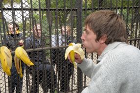 Андрей Печенежский