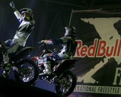 Freestyle motocross championship participants