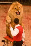 Владислав Гончаров