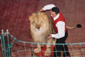 Владислав Гончаров