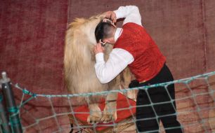 Владислав Гончаров