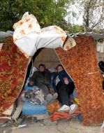 Временное жилье Ирина Чмыхало