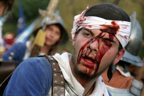 Военно-исторический фестиваль ”Terra Heroica-2008”