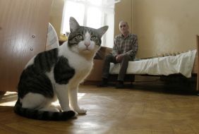 Cat Nafanya and patient of psychoneurological hospital