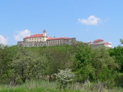 Mukachevsky castle