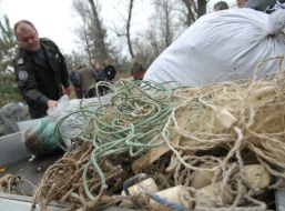 Poacher’s networks