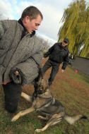 Cynologist with work dog