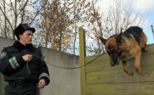 Cynologist with work dog