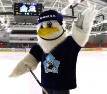 The talisman of HC «Sokol»