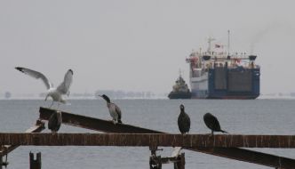 Turkey ferry ”Cenka”