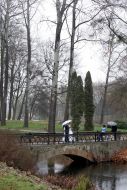 Arched bridge in arboretum ”Aleksandria”