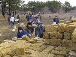 The participants of action fold bricks