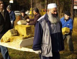 The participants of action carry bricks