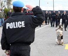 The Ukrainian peacemakers