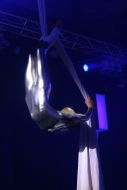 Trapeze artist