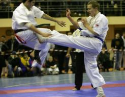 Japanese martial arts International tournament