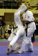 Japanese martial arts International tournament