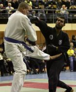 Japanese martial arts International tournament