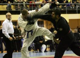 Japanese martial arts International tournament