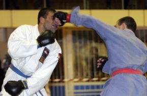 Japanese martial arts International tournament