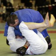 Japanese martial arts International tournament