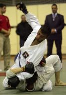 Japanese martial arts International tournament