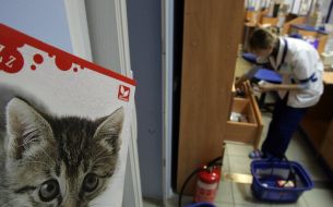 Продавщица в аптеке