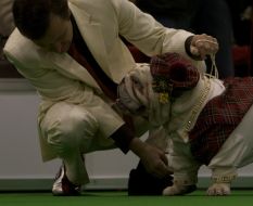 Хозяин со своей собакой