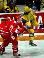 Hockey. Ukraine team vs. Denmark team