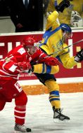 Hockey. Ukraine team vs. Denmark team