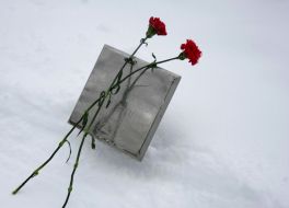 Wreath-laying ceremony